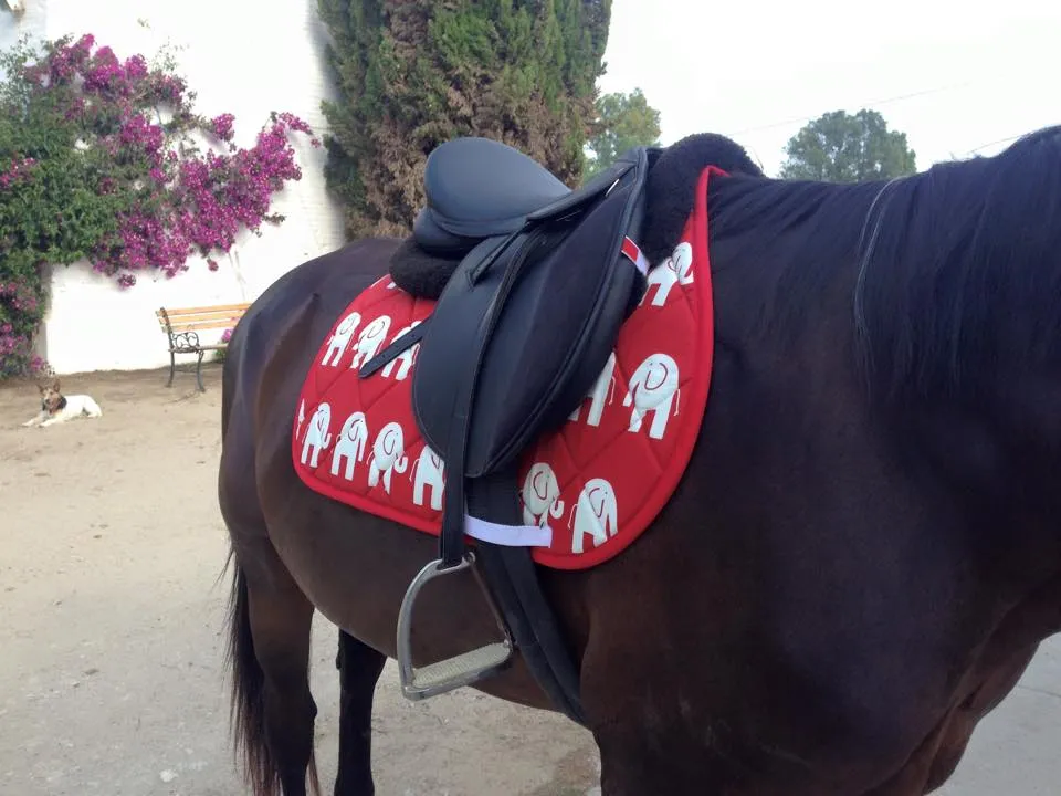 Custom Elephants Saddle Pad